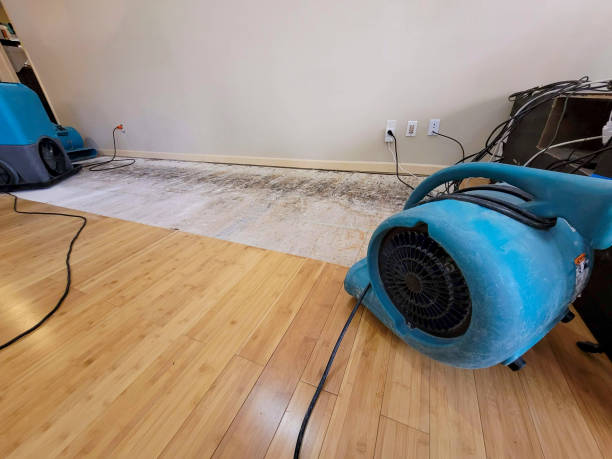 Professional Sewage Cleanup technician working in Florence, TX